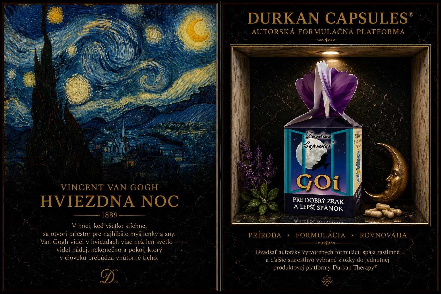 Durkan Therapy GOi a Vincent van Gogh